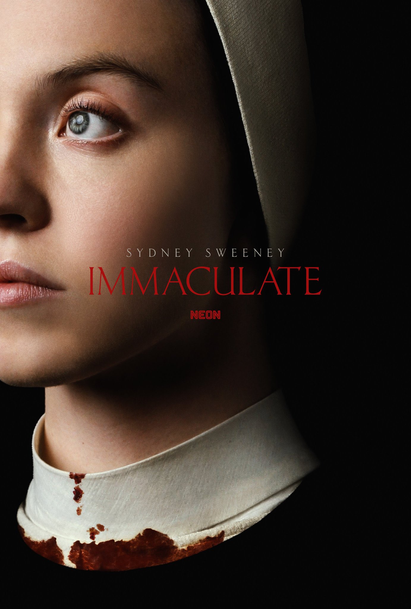 Storyline Movie Immaculate 2024