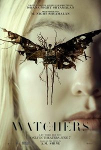 Storyline Movie The Watchers 2024